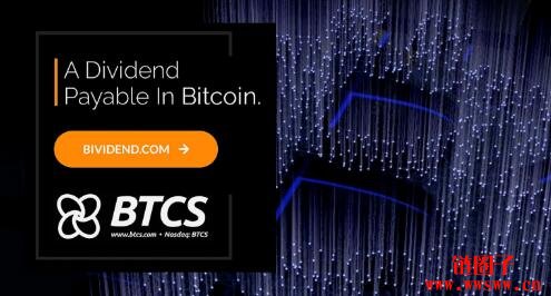那斯达克上市公司首例！BTCS用比特币配息、股价应声涨44%插图